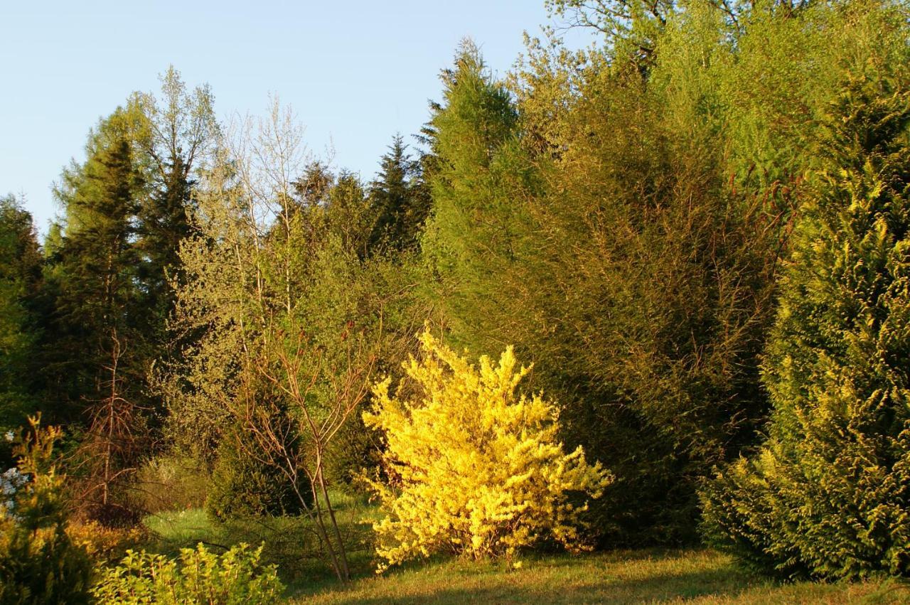 Willa Kasztelanska Porąbka Exteriör bild